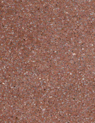 CINNAMON-M-TT_AML_0012-1