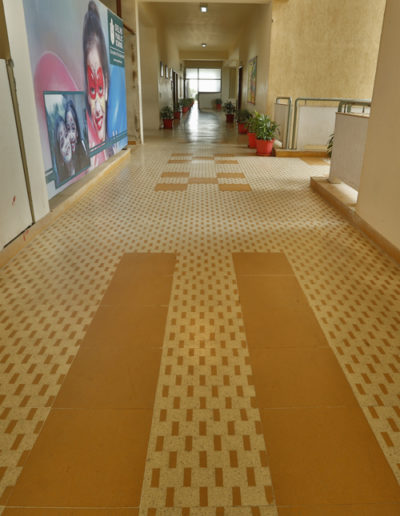 TAPPETTO TILES, DELHI PUBLIC SCHOOL, FARIDABAD