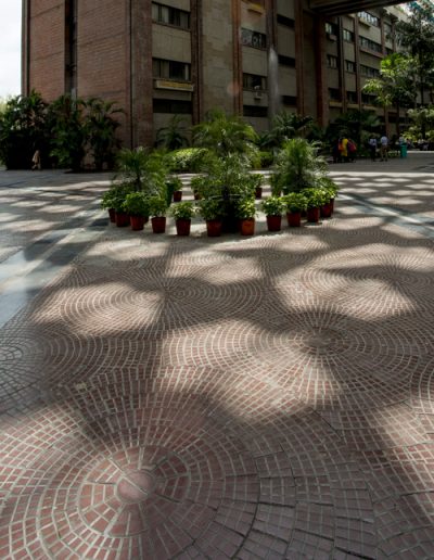 CHEQUERED TILES1, INDIA HABITAT CENTRE1, NEW DELHI